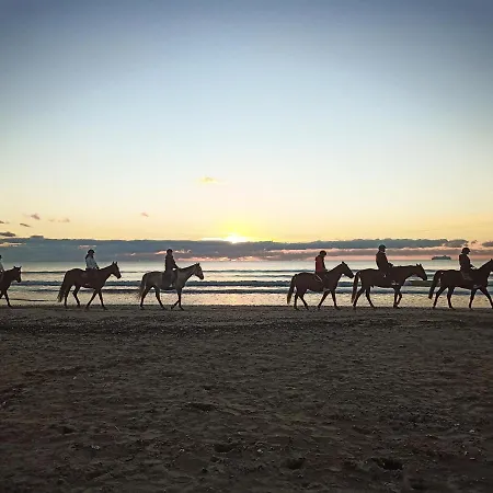Kamp alanı Mobil-home Confort A 300m De L'ocean *